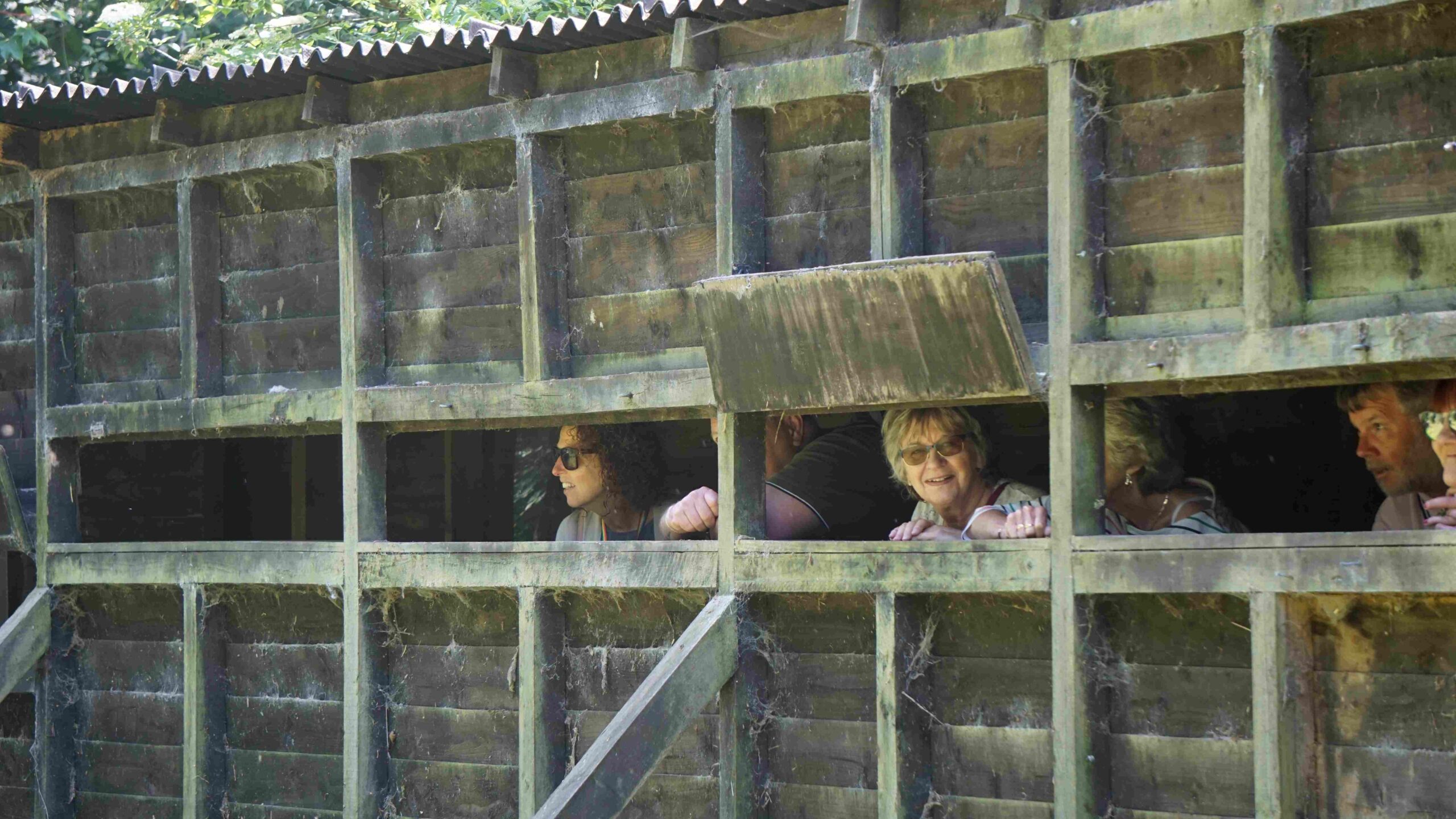 Group of people peering through open viewing area