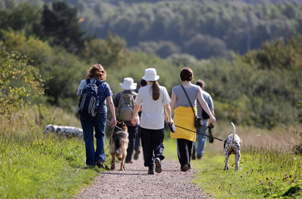 group of people walking in countryside