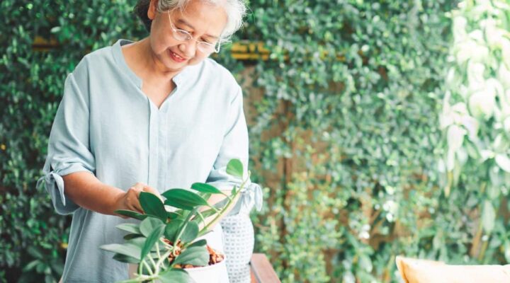 Older woman tending to a plant