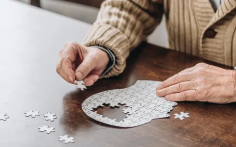puzzle of head with pieces missing