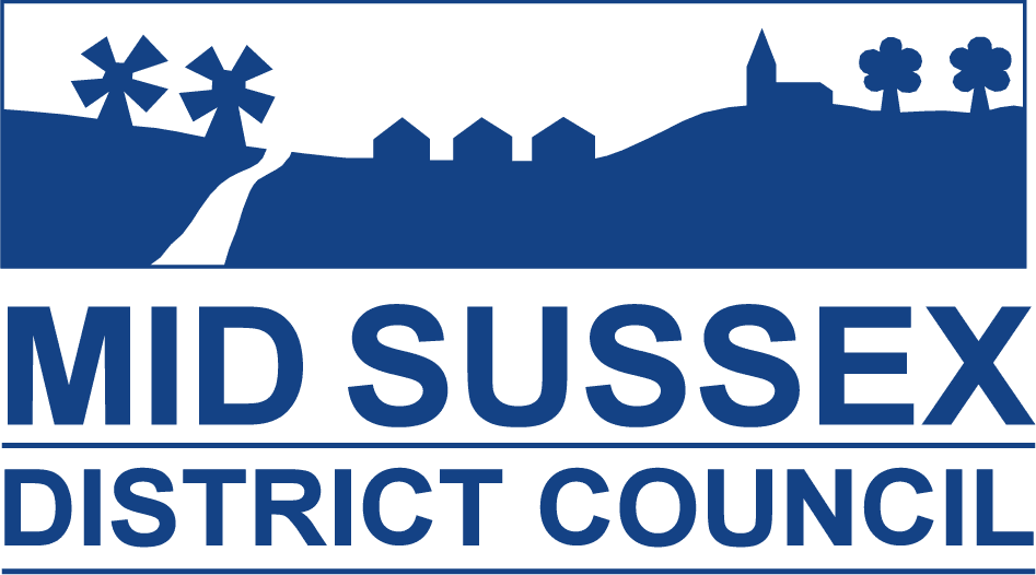 150ppimsdc-logo-blue